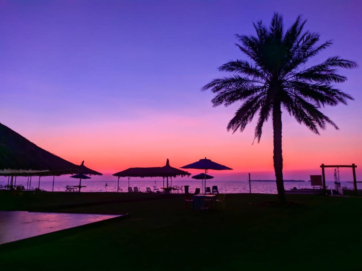 Flamingo Beach Hotel Umm al-Quwain Eksteriør billede